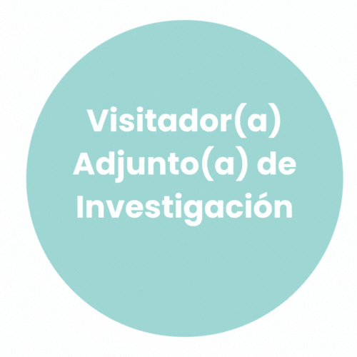Visitador(a) Adjunto(a) de Investigación