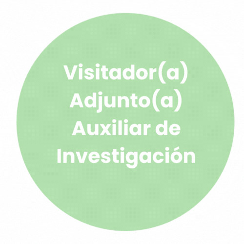 Visitador(a) Adjunto(a) Auxiliar de Investigación