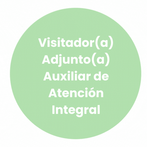 Visitador(a) Adjunto(a) Auxiliar de Atención Integral