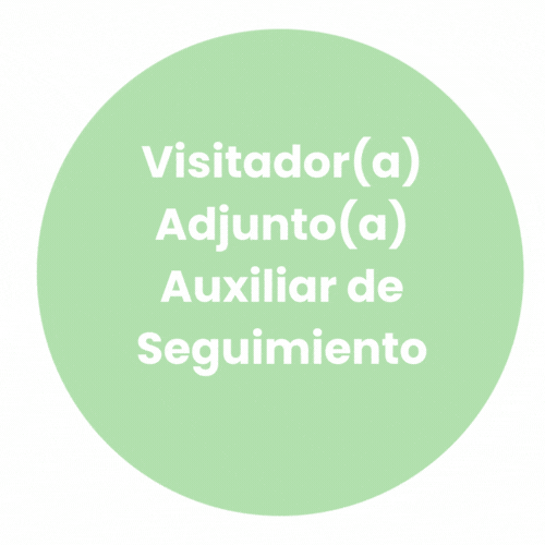Visitador(a) Adjunto(a) Auxiliar de Seguimiento