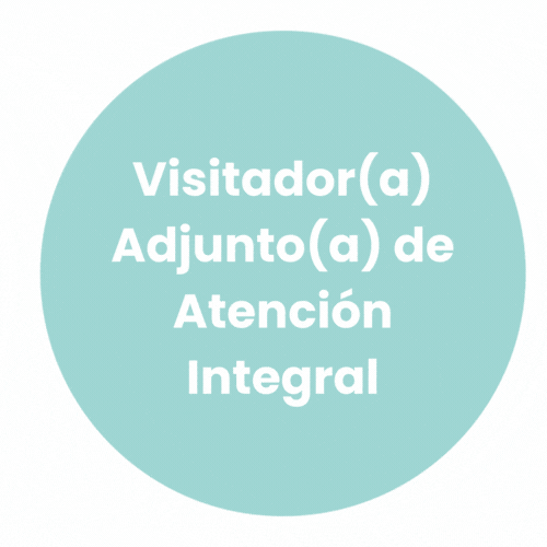 Visitador(a) Adjunto(a) de Atención Integral