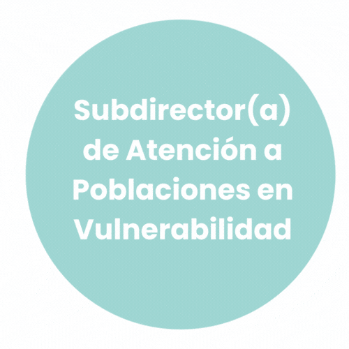 Subdirector(a) de Atención a Poblaciones en Vulnerabilidad