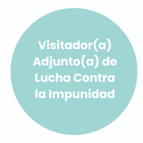 Visitador(a) Adjunto(a) de Lucha Contra la Impunidad
