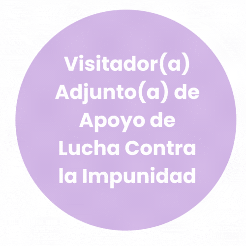 Visitador(a) Adjunto(a) de Apoyo de Lucha Contra la Impunidad