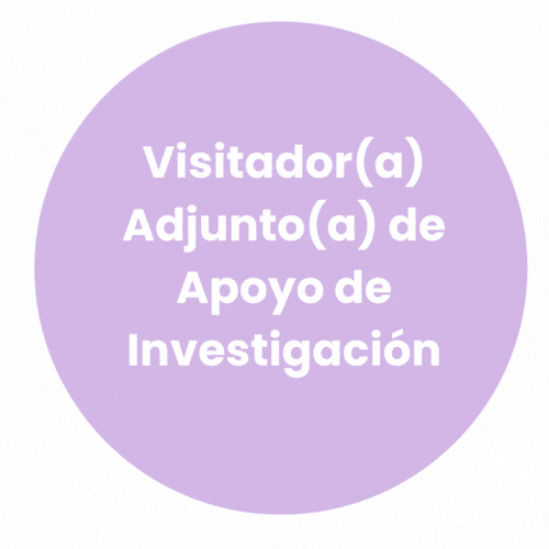 Visitador(a) Adjunto(a) de Apoyo de Investigación