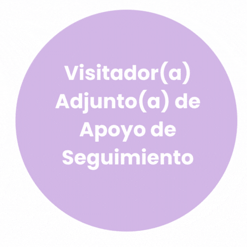 Visitador(a) Adjunto(a) de Apoyo de Seguimiento