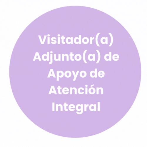 Visitador(a) Adjunto(a) de Apoyo de Atención Integral